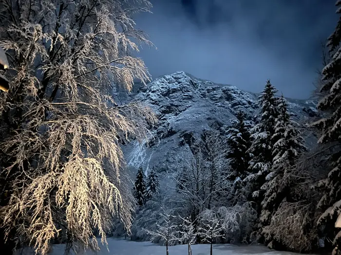 Bohinjsko jezero in gore Triglavskega narodnega parka blizu Koče pri Rdeči Bukvi (fotografija 46)