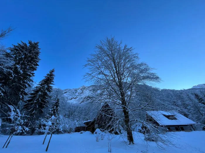 Snow-covered trees and cabin roofline in the Ukanc valley