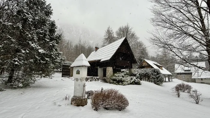 Red Beech Cabin and garden blanketed in fresh snow