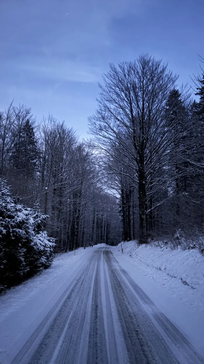 Snow-covered road leading toward Red Beech Cabin at dusk