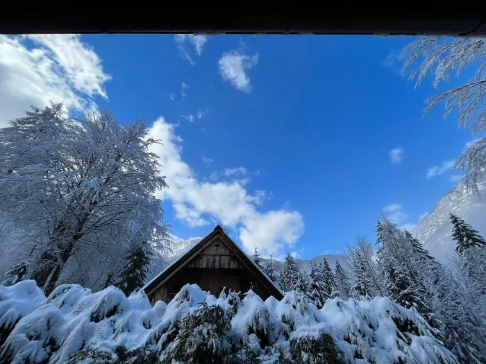 View of Red Beech Cabin's roofline and the mountains from the covered porch