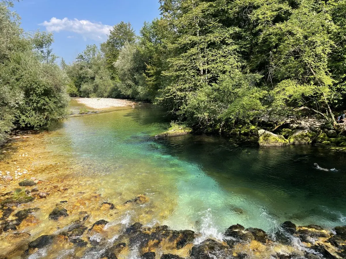 Bistra reka blizu Koče pri Rdeči Bukvi, priljubljena za ribolov